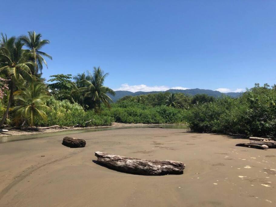 Casa Toucan Mit Privat Pool Near Np Ballena Uvita Eksteriør billede