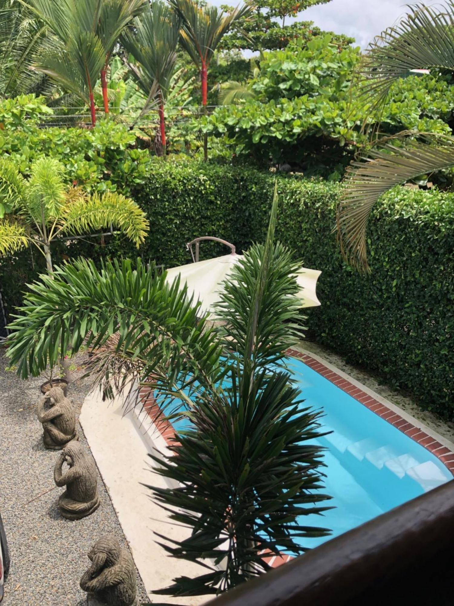 Casa Toucan Mit Privat Pool Near Np Ballena Uvita Eksteriør billede